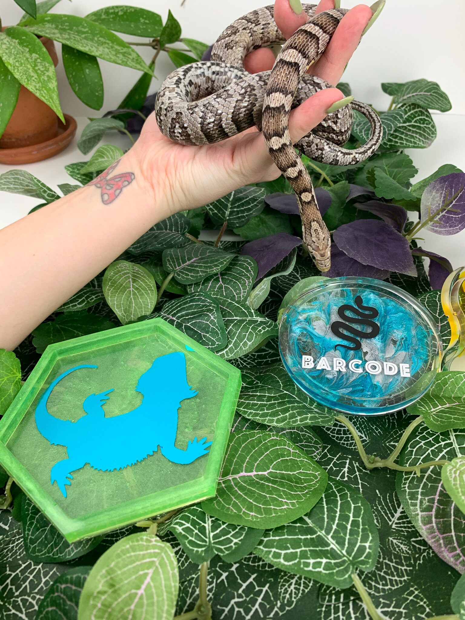 Custom Reptile Food Dish Etsy