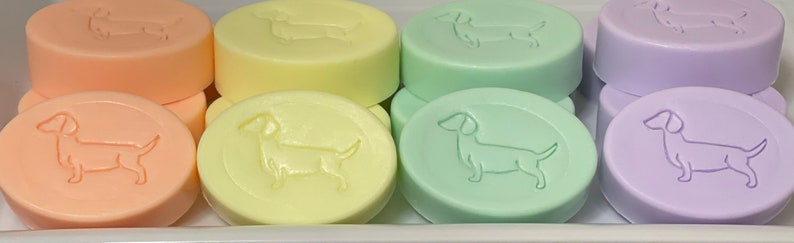Op de afbeelding: Een verzameling pastelkleurige, ronde zepen. Elke zeep heeft een reli&euml;fdesign van een teckel. Kleuren zijn onder meer perzik, geel, mintgroen en lavendel. De zepen zijn gestapeld in een witte container.