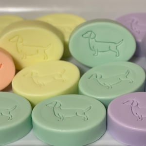 Op de afbeelding: Een verzameling pastelkleurige, ovaalvormige zepen. Elke zeep heeft een reli&euml;fdesign van een teckel. Kleuren zijn perzik, geel, groen en lavendel. De zepen zijn dicht bij elkaar geplaatst, wat wijst op een set.