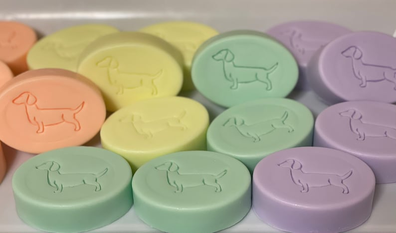 Op de afbeelding: Een verzameling pastelkleurige, ovaalvormige zepen. Elke zeep heeft een reli&euml;fdesign van een teckel. Kleuren zijn perzik, geel, groen en lavendel. De zepen zijn dicht bij elkaar geplaatst, wat wijst op een set.