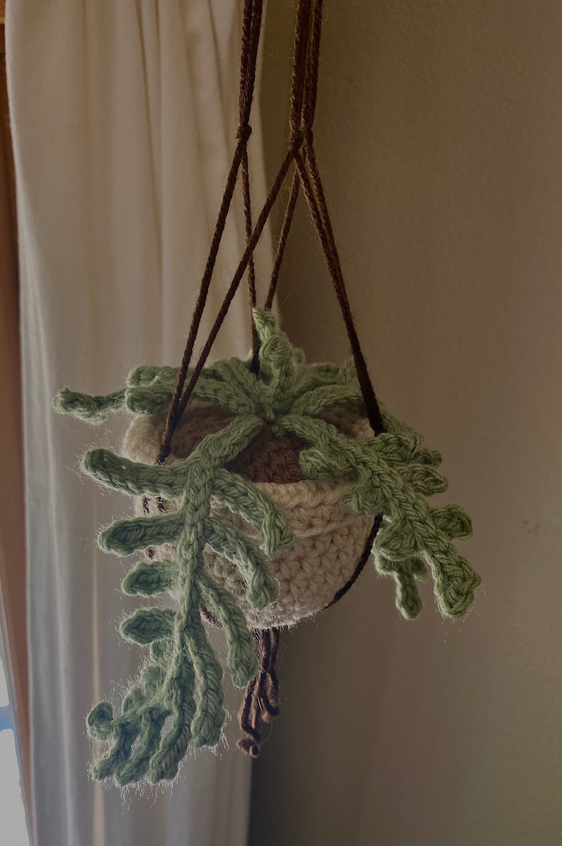 Handmade Crochet Hanging Plant Etsy