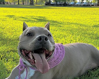 Lacey huisdier bandana | Gehaakte kanten bandana | Gehaakte bandana voor huisdieren | Gehaakte accessoires voor huisdieren | Gehaakte hondenbandana | Huisdier Dassen | Kleding voor huisdieren