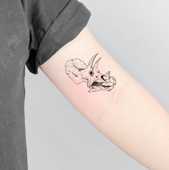 Three Dinosaur Tattoo Color Tattoo Dinosaur Tattoo  Dinosaur tattoos  Friend tattoos Small tattoos