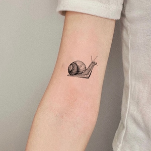 Little skull snail  Gun and Pedal brighton tattoo studio  Facebook