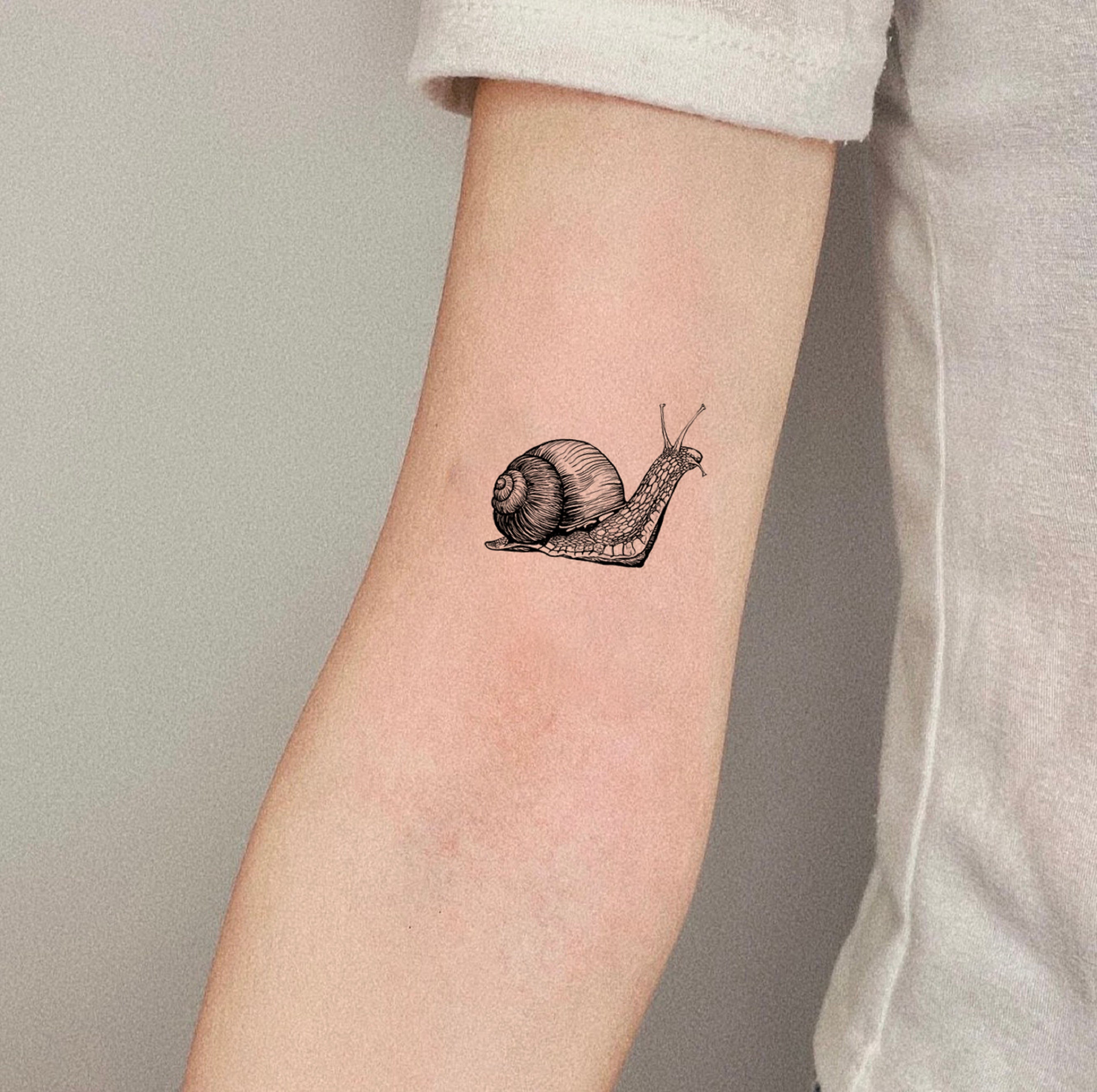 101 Best Snail Tattoo Ideas You Have To See To Believe  Outsons