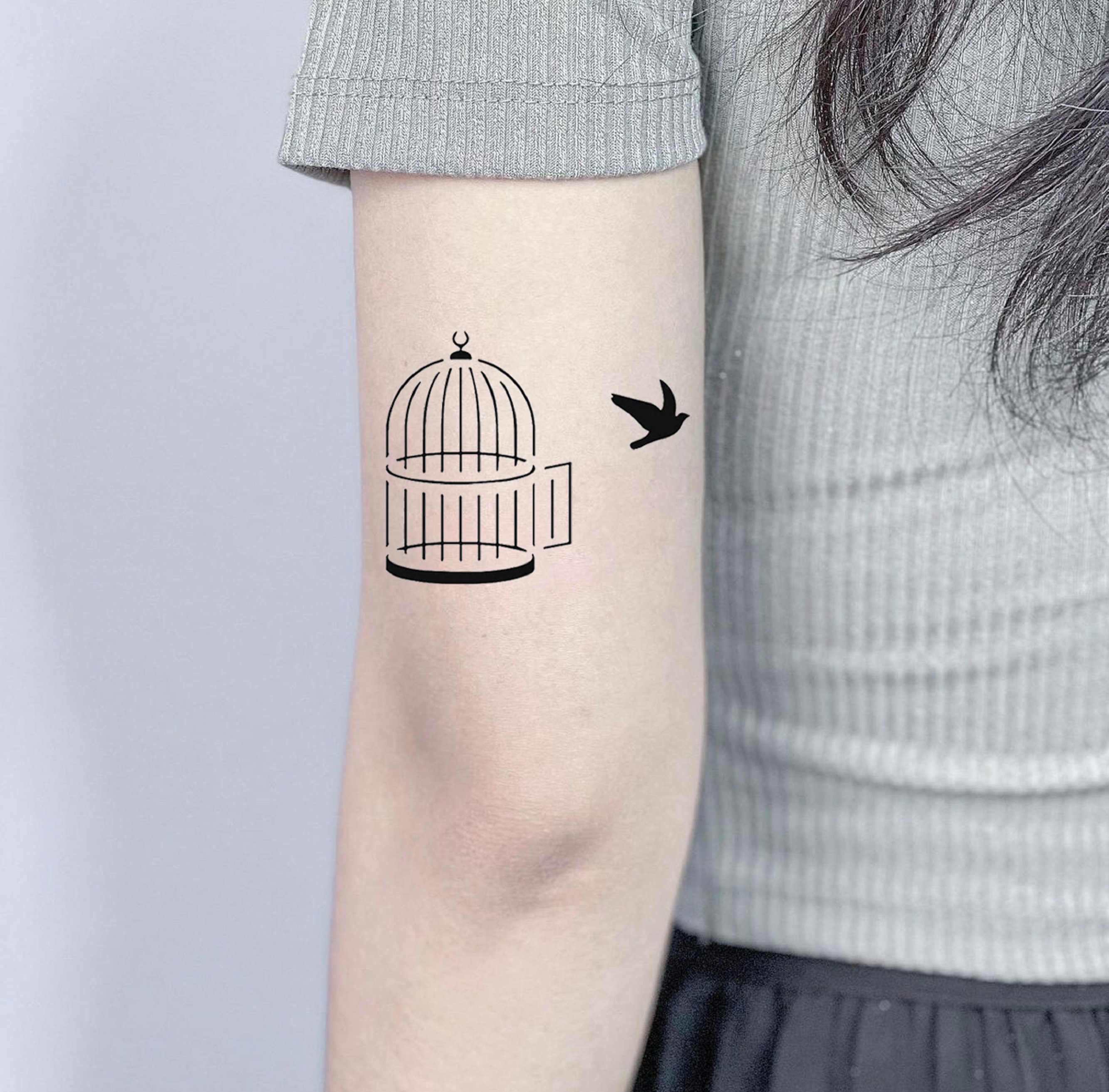 Bird Cage Tattoos Designs