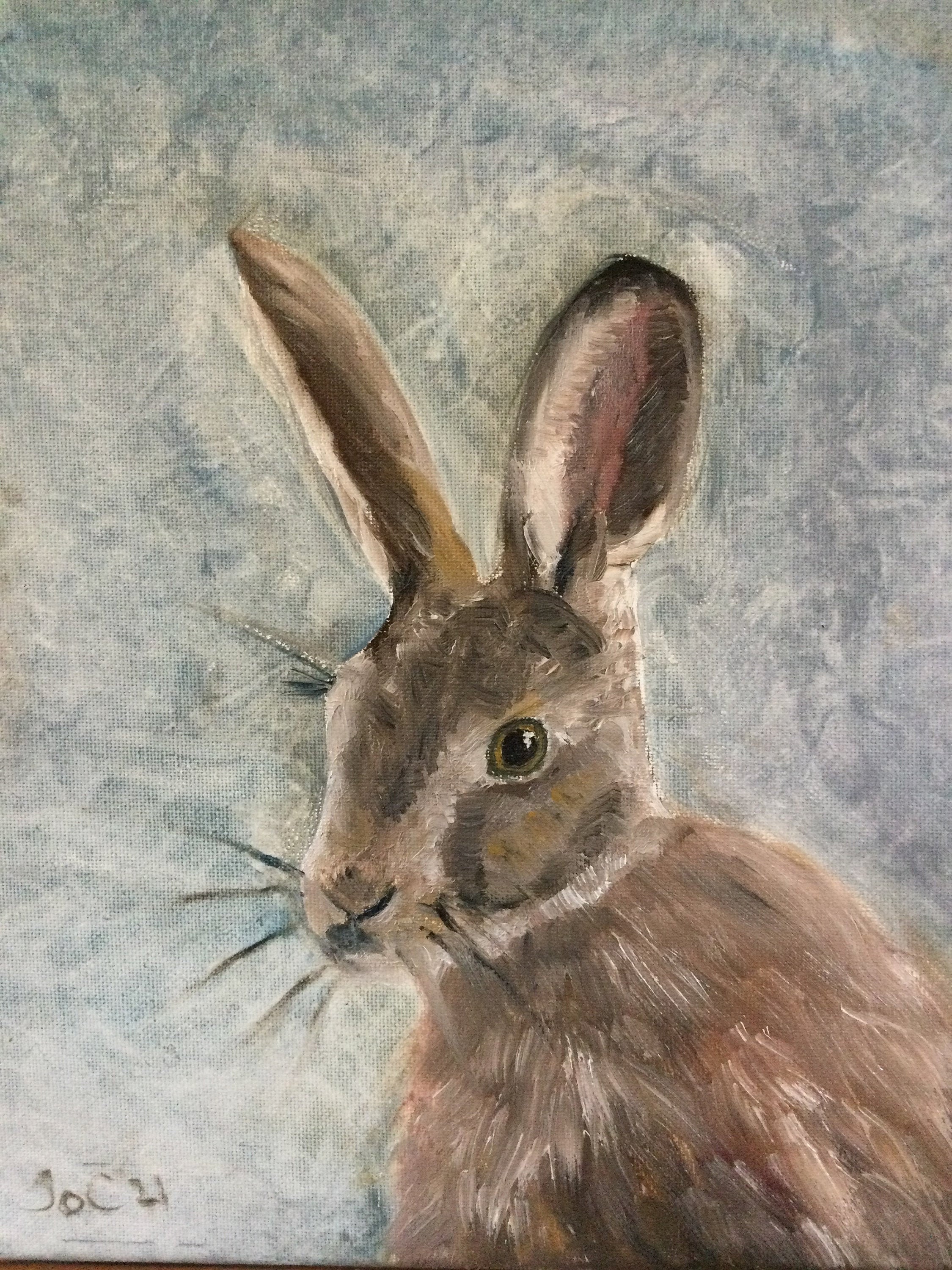 Hare original oil painting on canvas 25x30cm Etsy