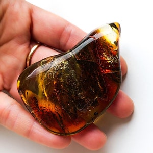34gr Large Amber Stone, Collectors Specimen, Amber stone for Display, Healing Stone, Natural Baltic Amber,Authentic Natural Stone