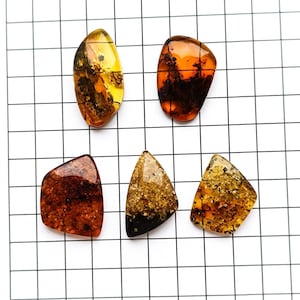 5 pcs Natural Baltic Amber Wholesale Cabochon Lot , Genuine Baltic Amber for Jewelry Making, Free form Gemstone Cabochons, Amber for Healing