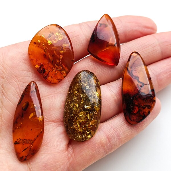 Wholesale Amber Cabochon Lot of 5 Pieces, Genuine Natural Amber Cabochons, Free form Gemstone Cabochons, Real Amber for Jewelry Making