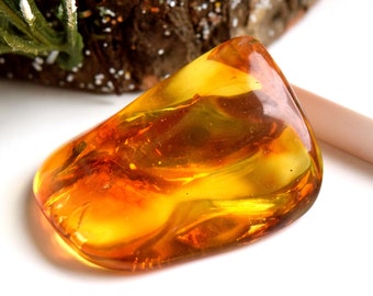 Yellow Baltic Amber Stone Fossils Minerals Home Decoration Geniune Amber Raw,Polished Rocks Natural Gemstone Unique Gift Healing Stone