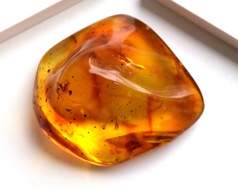 Yellow Baltic Amber Stone Fossils Minerals Home Decoration Geniune Amber Raw,Polished Rocks Natural Gemstone Unique Gift Healing Stone