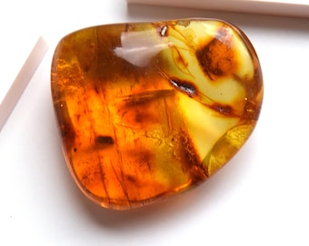 Yellow Baltic Amber Stone Fossils Minerals Home Decoration Geniune Amber Raw,Polished Rocks Natural Gemstone Unique Gift Healing Stone