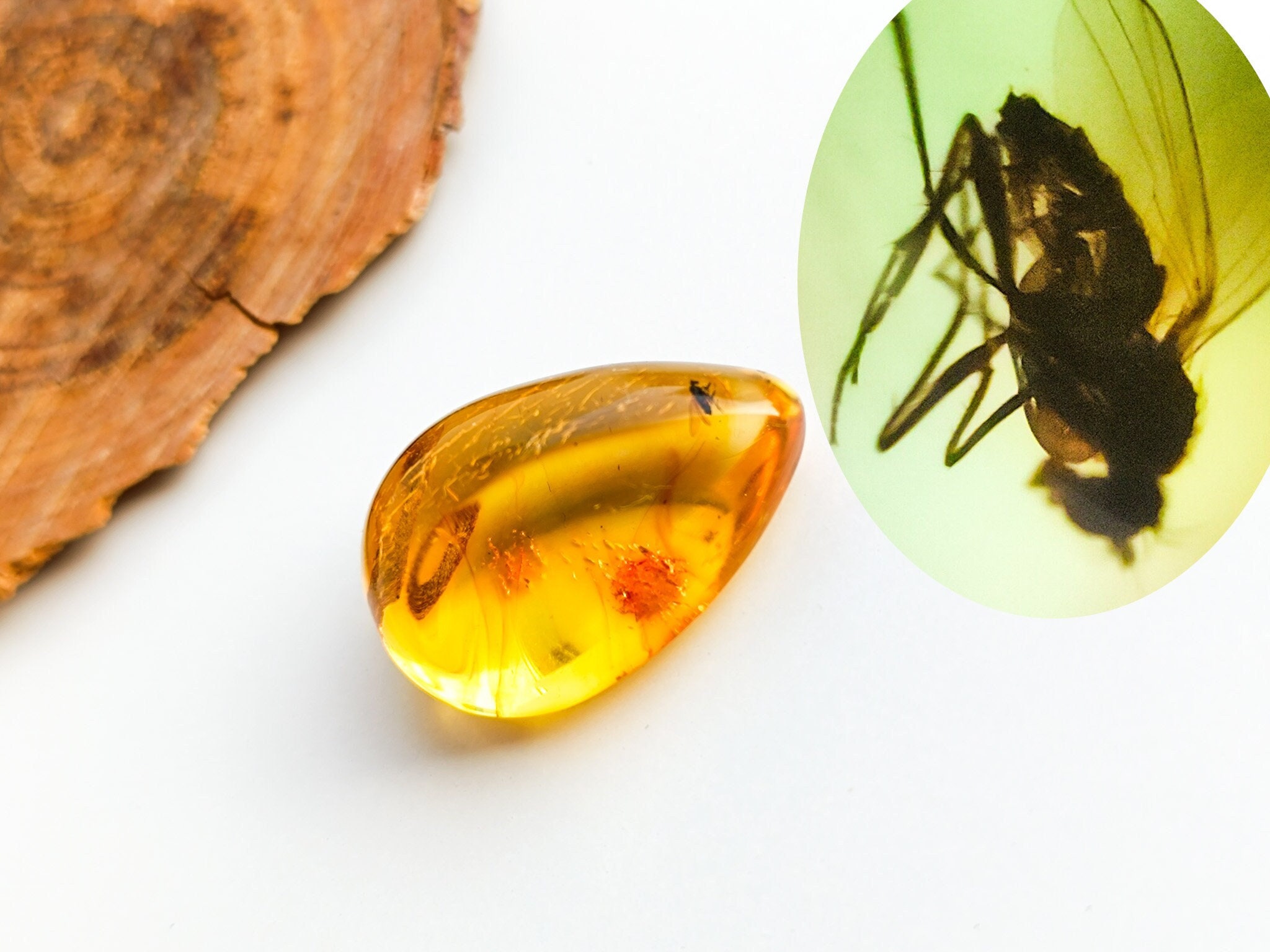 Amber With Insects Home Decoration, Large Oval Amber Resin