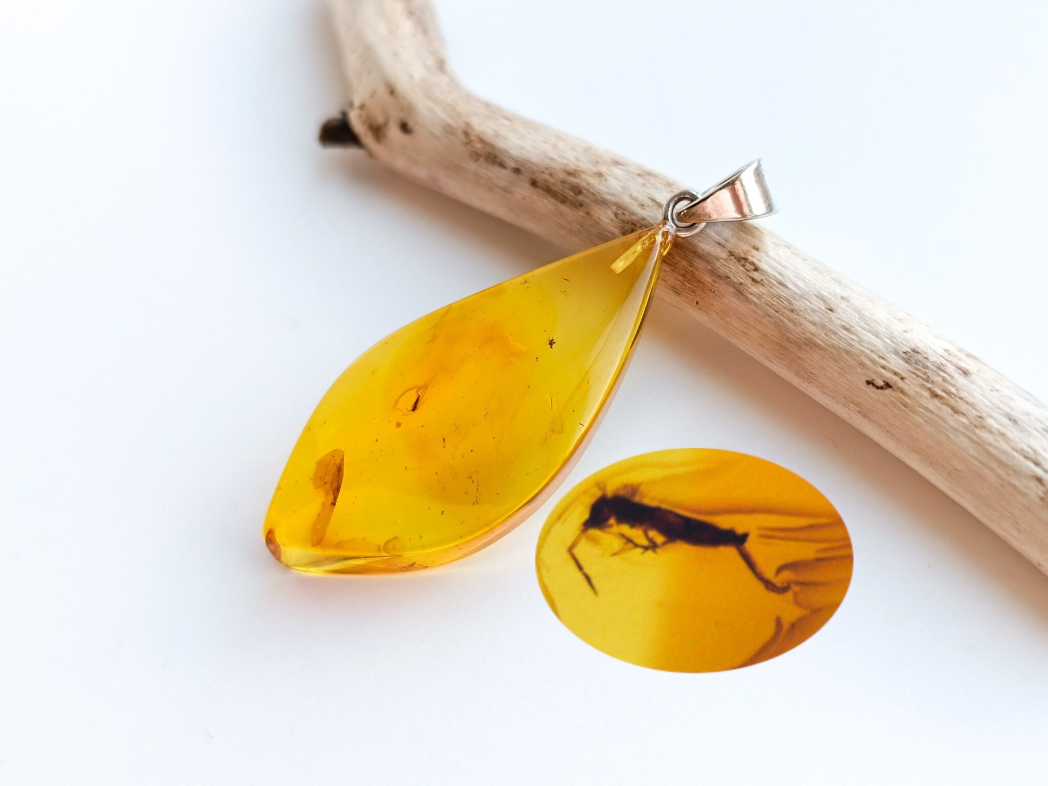 Amber jewelry 2024 with insects