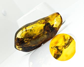 Ámbar macizo con inclusión de insectos, pieza de ámbar genuino con fósil de insecto, ejemplar de colección, piedra curativa, piedra natural auténtica, 22 g