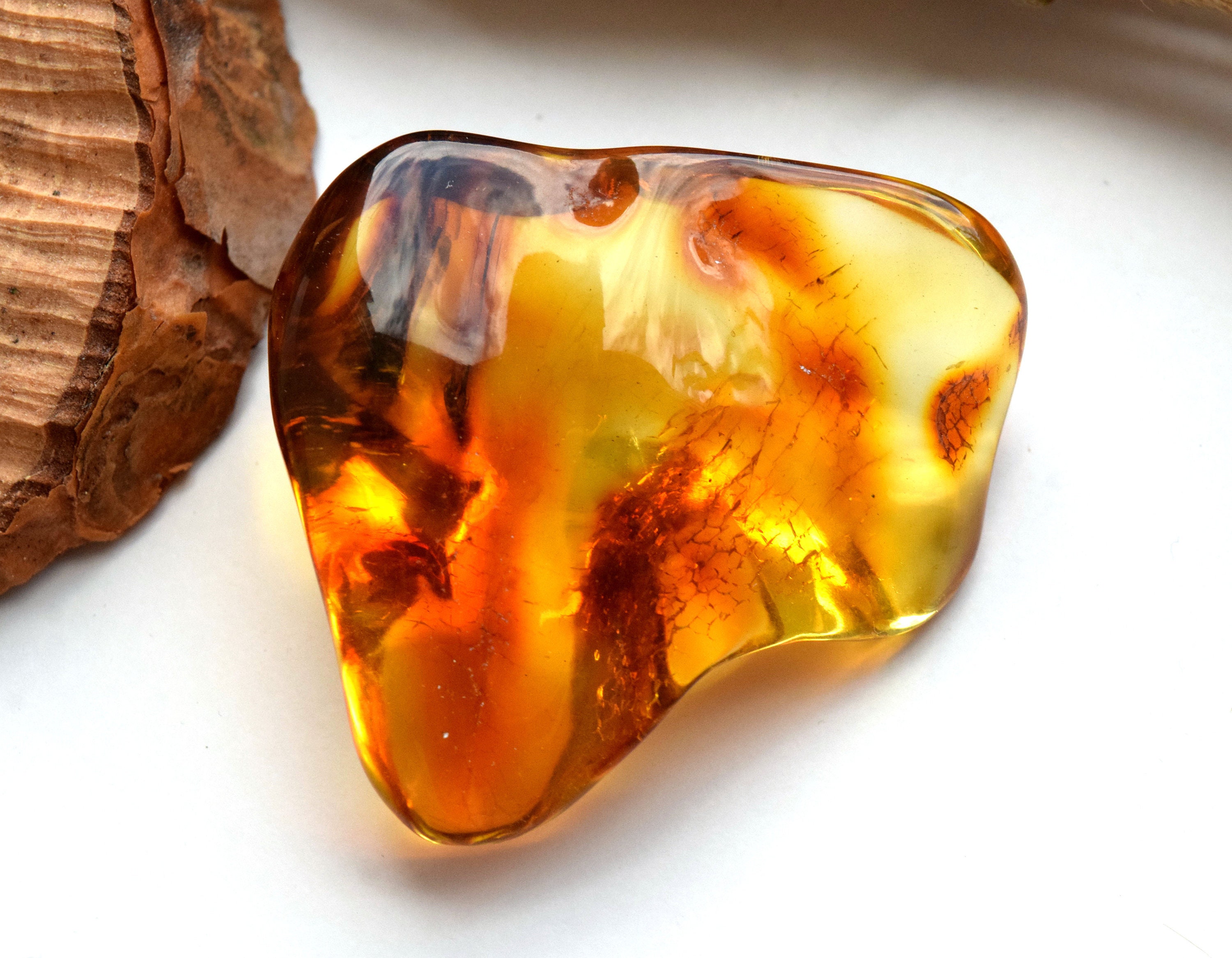 Big Amber Stone Collectors Specimen Amber stone for Display | Etsy