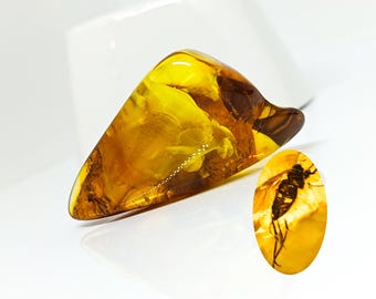 Ámbar macizo con inclusión de insectos, pieza de ámbar genuino con fósil de insecto, ejemplar de colección, piedra curativa, piedra natural auténtica, 20 g
