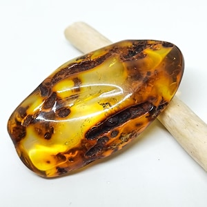 Natural Baltic Cognac Amber Stone: Worry/Palm Stone, Reiki Chakra Healing