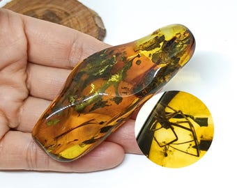 Ámbar macizo con inclusión de araña, pieza de ámbar genuino con fósil de insecto, ejemplar de colección, piedra curativa, piedra natural auténtica, 26 g