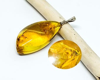 Amber with Fossil & 925 Silver Bail, Amber Pendant with Insect Inclusion, Amber for Collection, Unique Gift Idea, Healing Amber