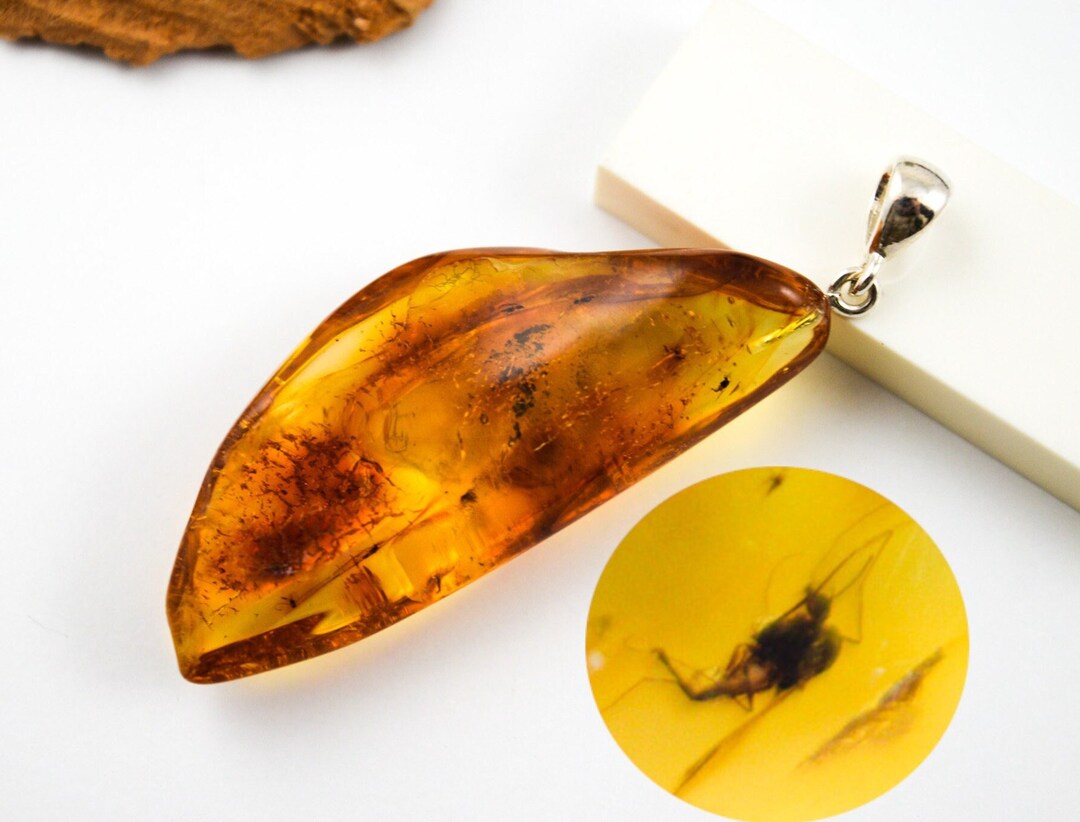 Amber With Insect Fossil & 925 Silver Bail Amber Pendant With Etsy