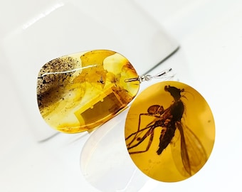 Amber with Insect Fossil & 925 Silver Bail, Amber Pendant with Insect Inclusion, Amber for Collection, Unique Gift, Healing Amber