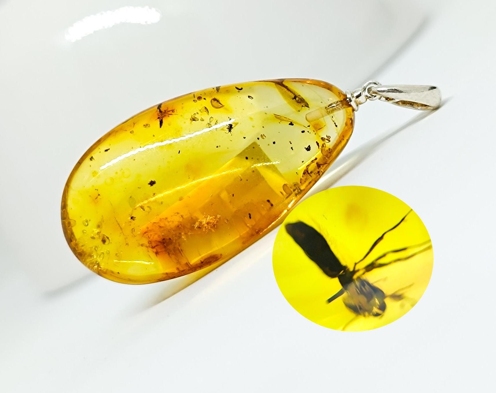 Insect Amber