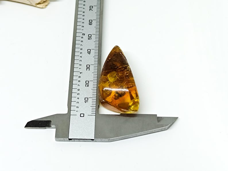 Amber With Spider Fossil,collector Specimen,unique Baltic Amber Piece