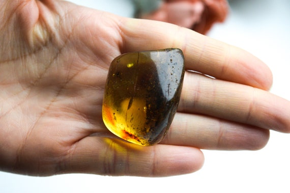 Grande pietra d'ambra unica, pezzo da collezione, gemma naturale