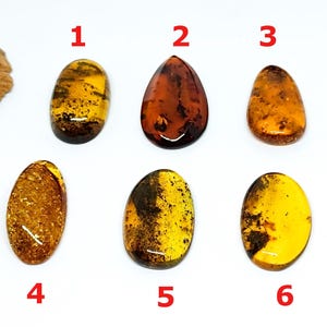 Natural Baltic Amber  Flat Back Cabochon, Genuine Baltic Amber Cabochons  for Jewelry Making, Free form Gemstone , Amber for Healing