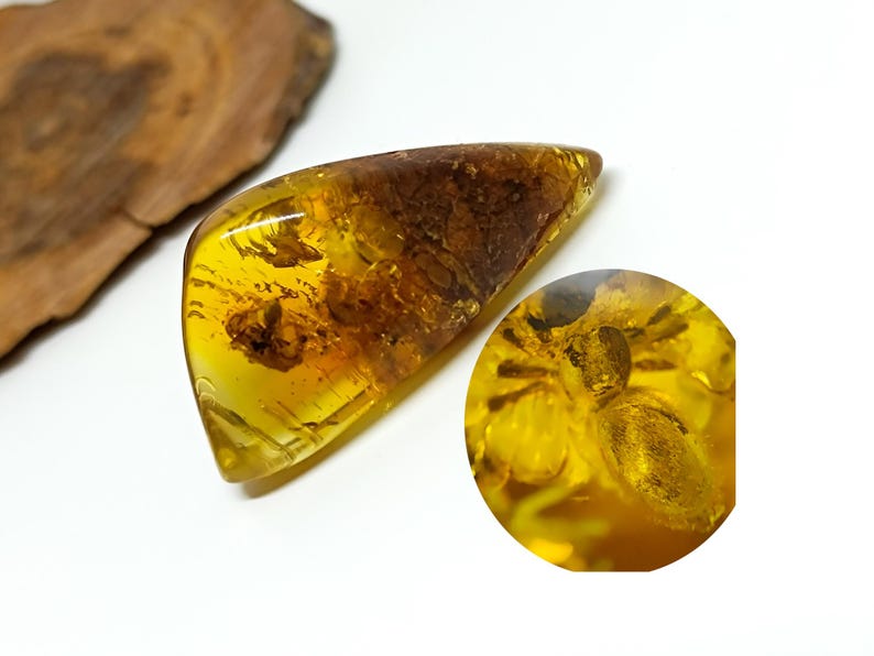 Amber With Spider Fossil,collector Specimen,unique Baltic Amber Piece