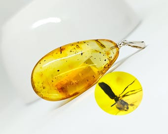 Colgante de ámbar fósil de insecto: ámbar miel auténtico y plata 925
