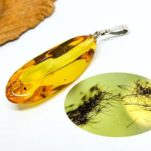 Insect Inclusion Amber Pendant: Natural Baltic Amber, 925 Silver