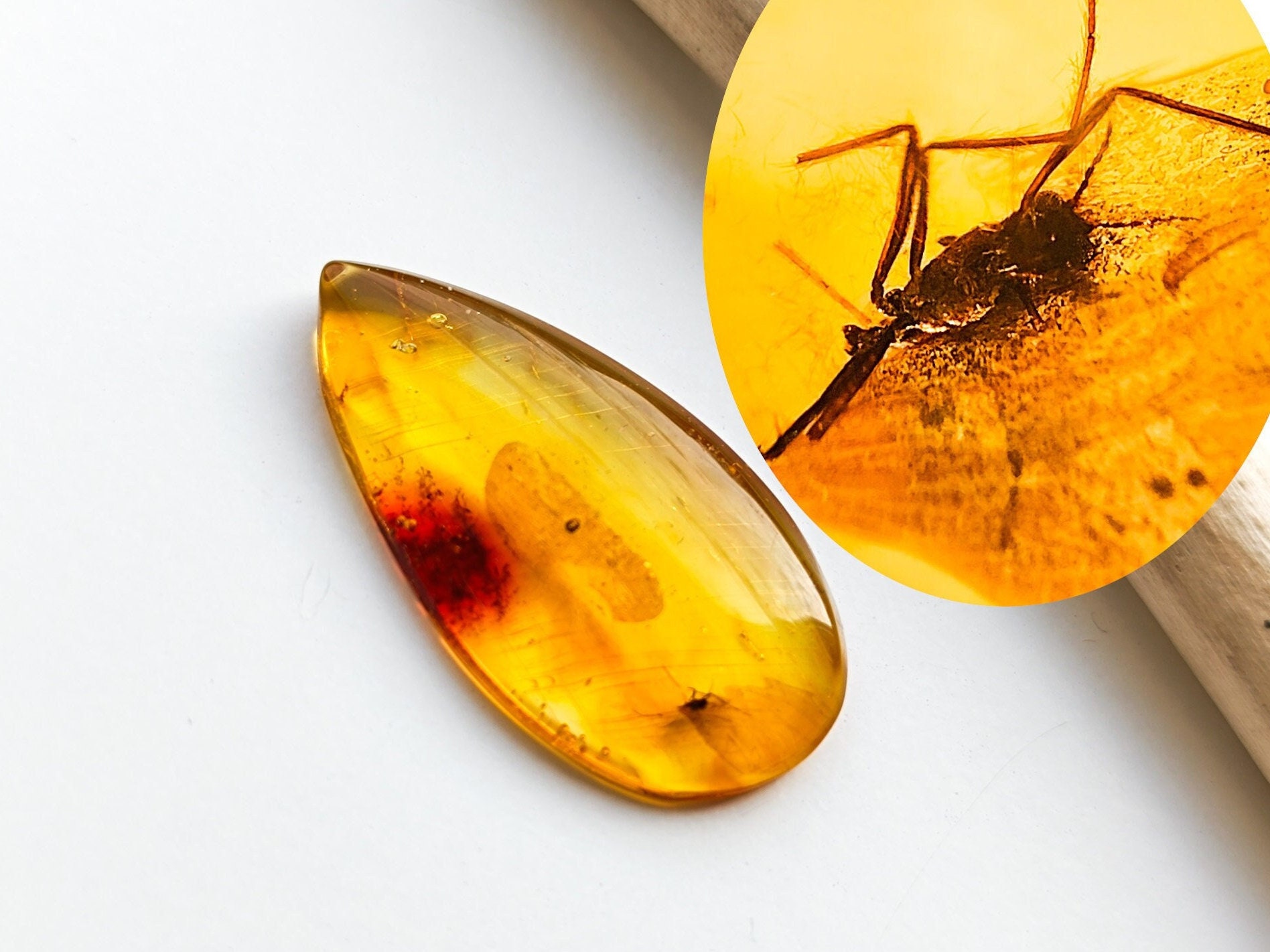 Amber Fossil Inclusion baltic Amber With Insect Trapped for Million Years Collectors Specimen Unique Gift Palm Stone Amber for Display Etsy