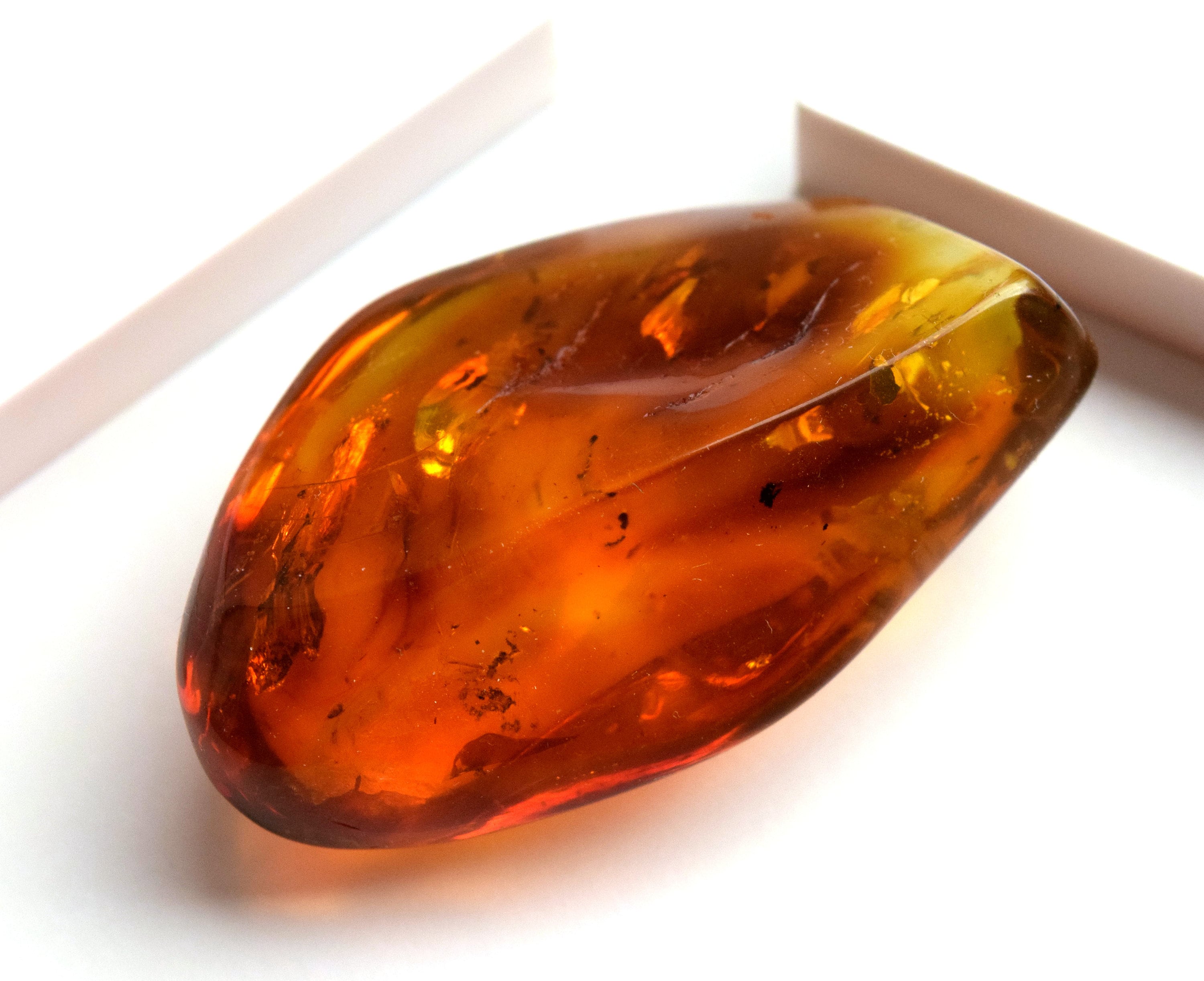 Collectors Specimen Amber Stone Natural Baltic Amber Stone Etsy