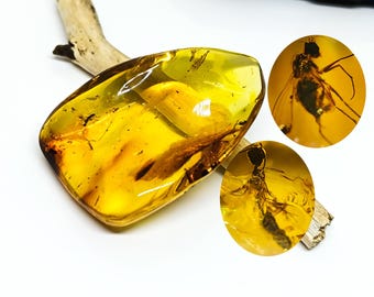 Ambra massiccia con inclusioni di insetti, pezzo di ambra autentica con fossile di insetto, esemplare da collezione, pietra curativa, pietra naturale autentica, 22 gr