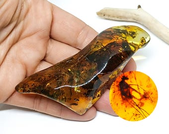 Enorme ejemplar de ámbar: piedra fósil natural con inclusión de insectos