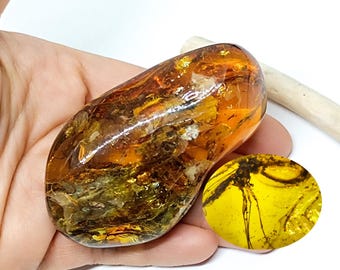 Unique Large Amber Stone with Insect Inclusion, Natural amber stone, Unique shape amber, Collector's Piece,Amber with Fossils