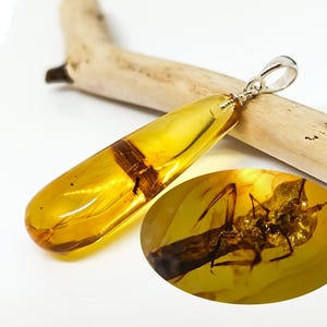 Baltic Amber Pendant with Insect: 925 Silver, Natural Fossil