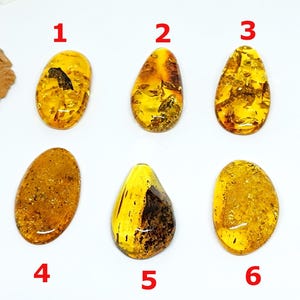 Natural Baltic Amber  Flat Back Cabochon, Genuine Baltic Amber Cabochons  for Jewelry Making, Free form Gemstone , Amber for Healing