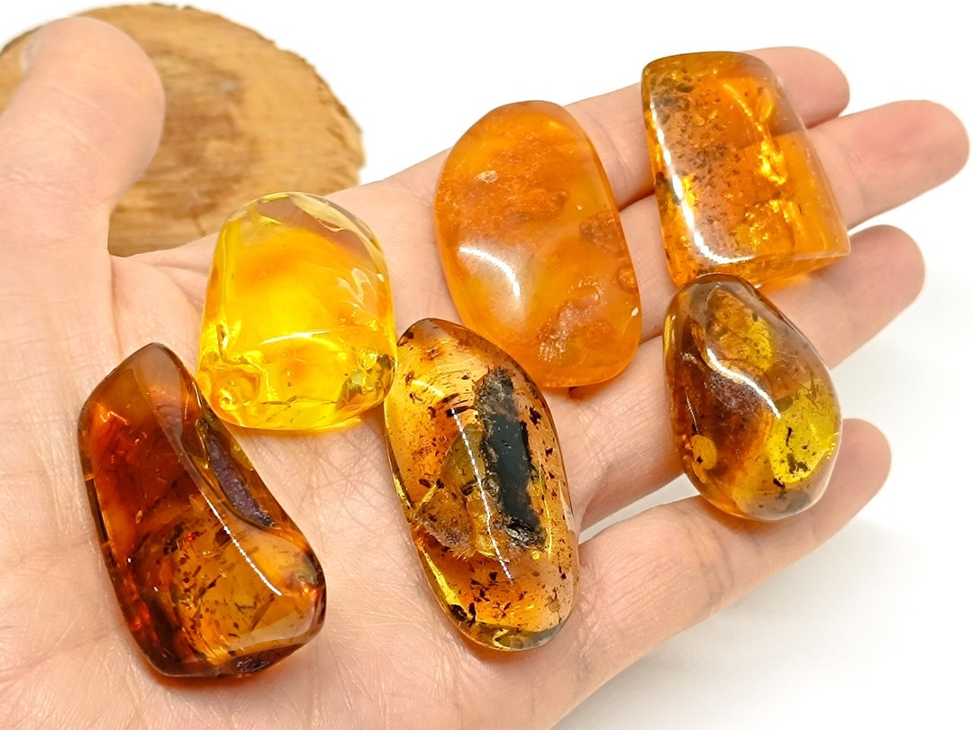 BRIESTA　ブリエスタ　Amber NUTS × 802PRODUCTS BRIESTA vintage amber ヴィンテージ