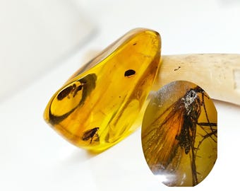 虫入り琥珀、天然琥珀 - 虫入り琥珀 - 虫入り琥珀 - 琥珀水晶 - 研磨