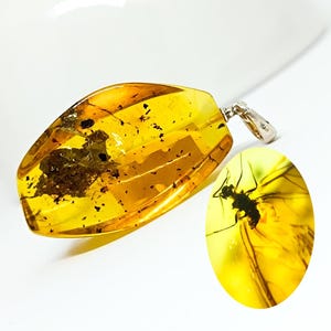 Elegant Baltic Amber with Insect & 925 Silver,Natural Amber piece with Insect, Collection Amber, Amber Pendant with Insect fossil