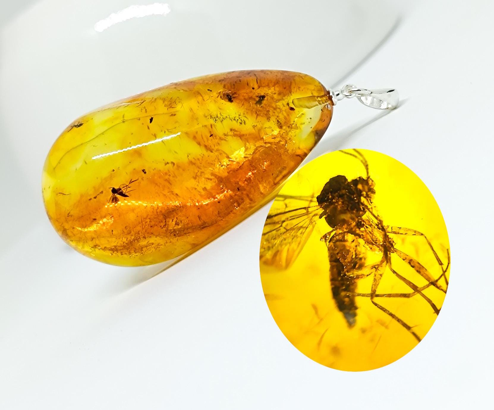 Massive Elegant Amber with Insect Inclusion & 925 Silver, Collectors Specimen, Unique Amber Pendant with Insect Fossil, Natural Jewelry
