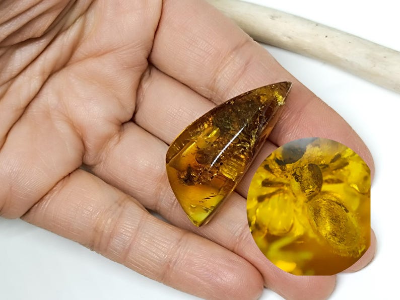 Amber With Spider Fossil,collector Specimen,unique Baltic Amber Piece