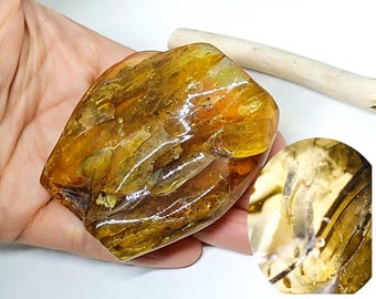 Piedra de ámbar miel maciza, inclusión de fósil de insecto, ejemplar de coleccionista (42 g)