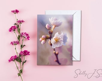 Cherry Blossom 6x4 Set of 3 Greeting Cards * Birthday * Thank You * Get Well Soon
