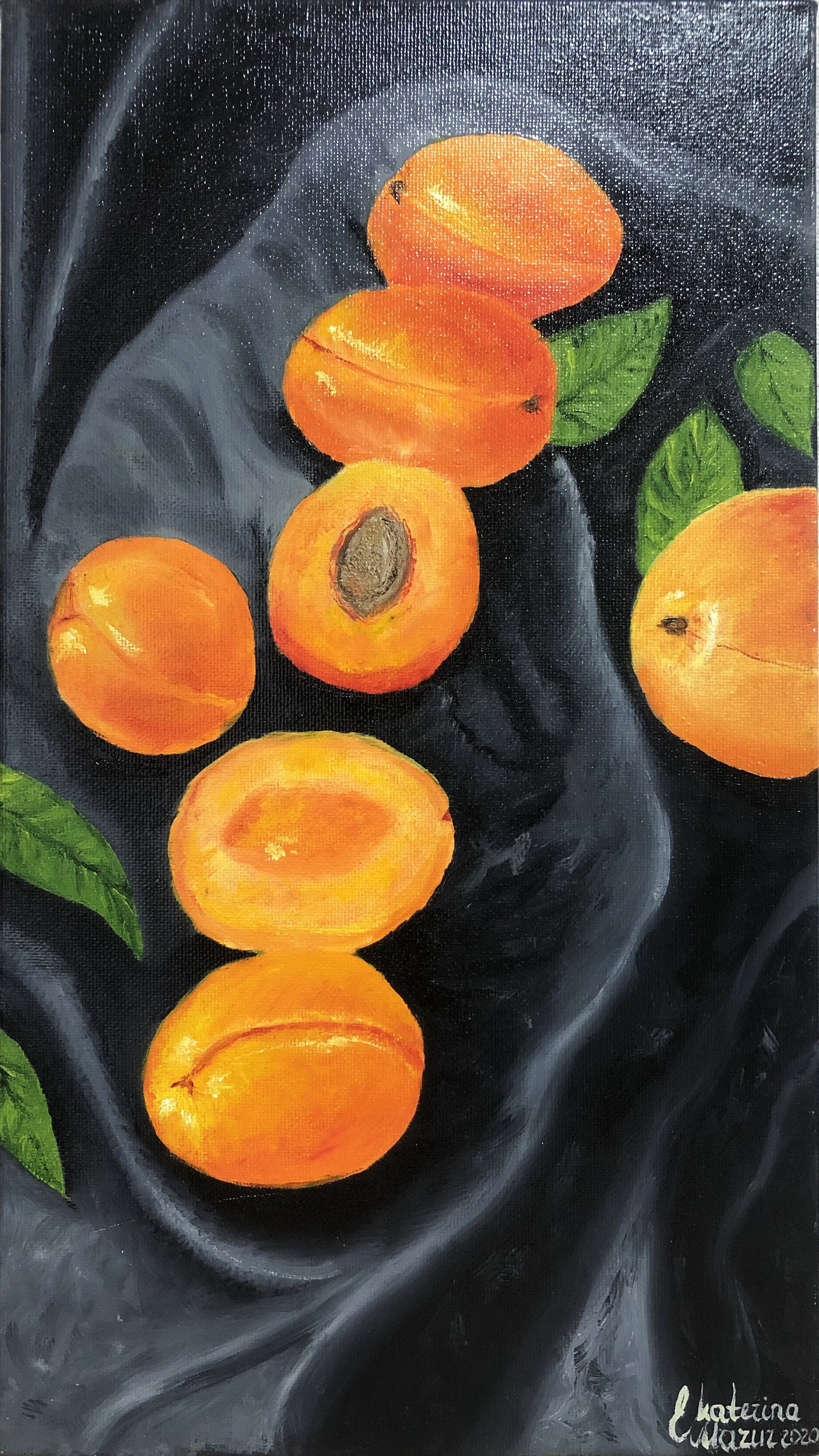Apricots Dark Background Fruit Painting Oil Painting Orange Gray Graphite Home Decor Kitchen Painting   orange fruit Bright fruit