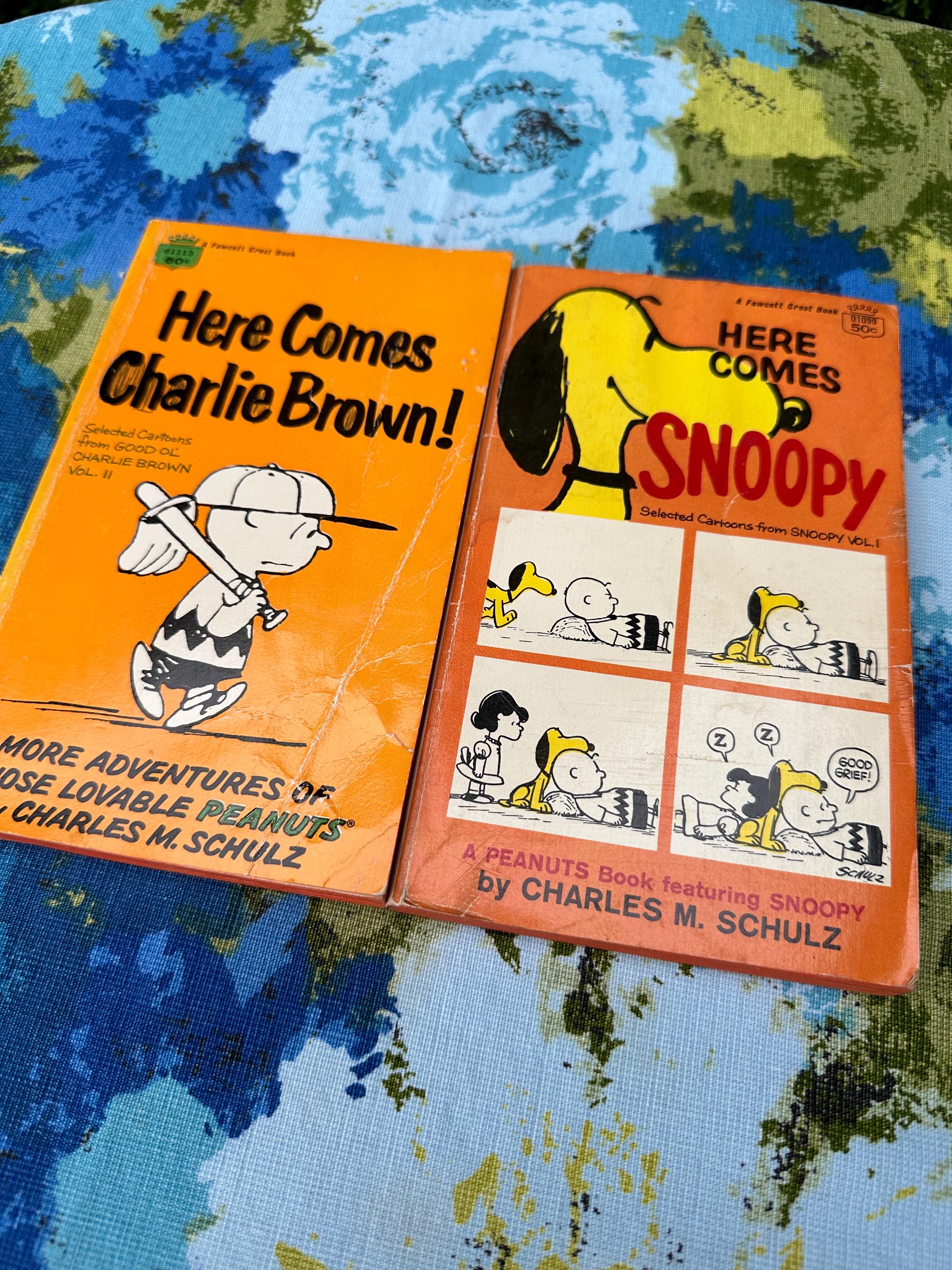Peanuts 1968 - Etsy
